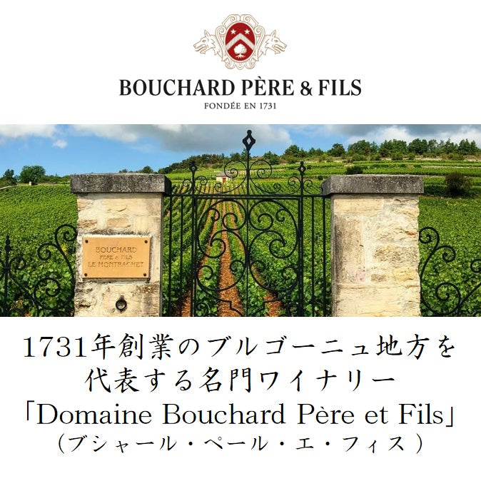 ブシャール・ペール・エ・フィス シャンベルタン・クロ・ド・ベーズ